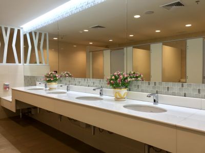 Luxury Vanity Areas